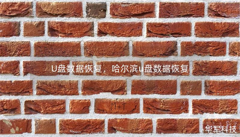 U盘数据恢复，哈尔滨u盘数据恢复