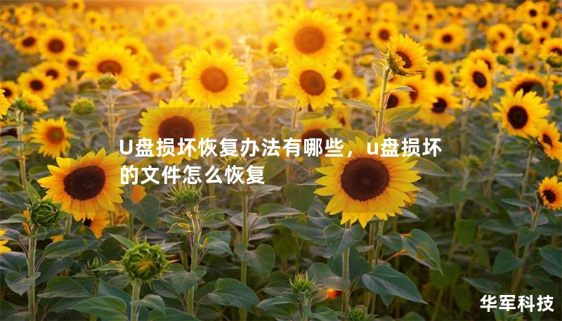 U盘损坏恢复办法有哪些，u盘损坏的文件怎么恢复