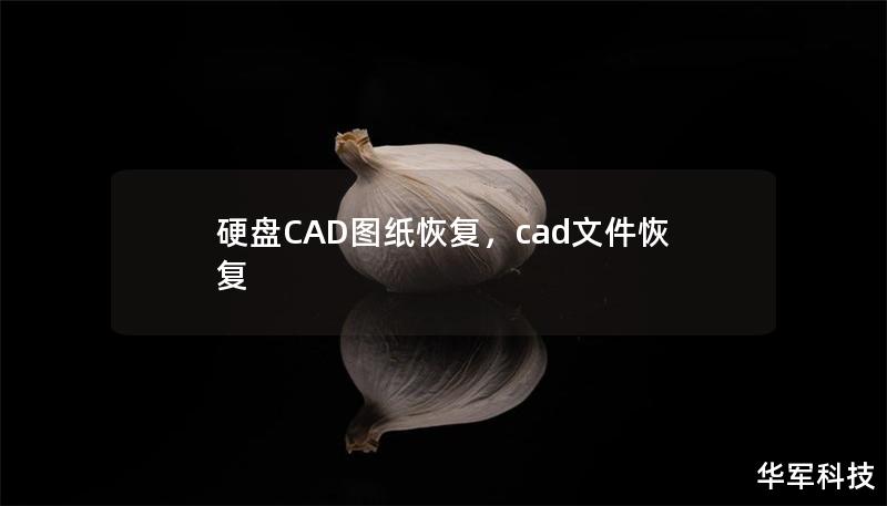 硬盘CAD图纸恢复，cad文件恢复
