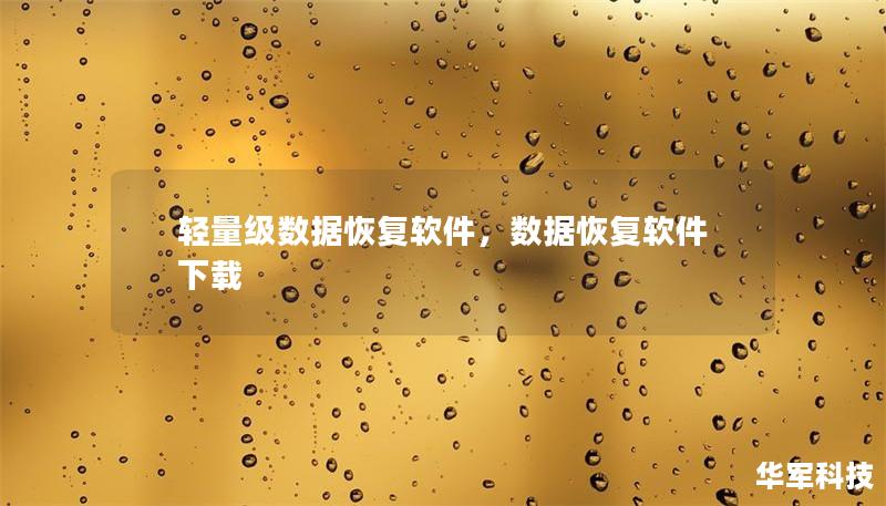 轻量级数据恢复软件，数据恢复软件下载