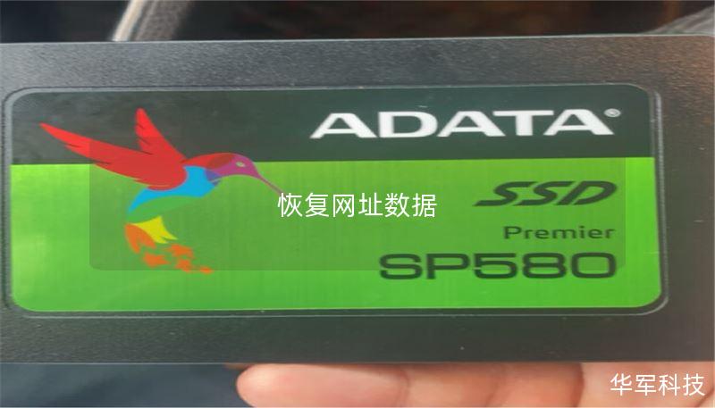 本篇文章详细介绍了数据恢复的相关知识，包括恢复工具、操作方法和真实案例分析，帮助用户有效恢复丢失的数据。