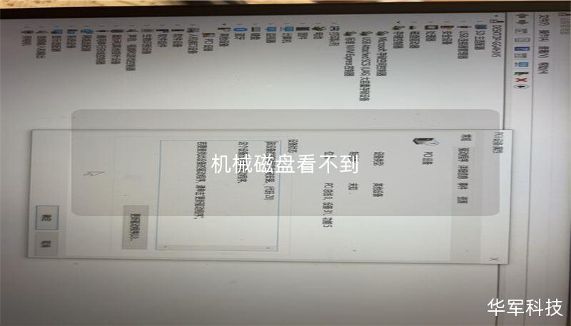 机械磁盘看不到