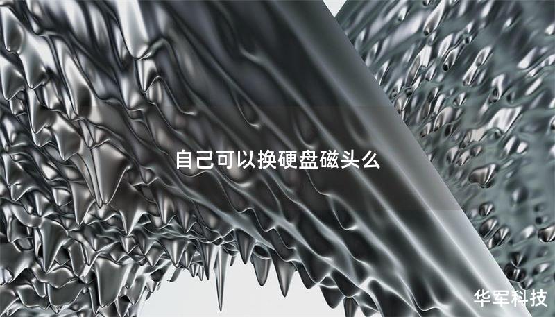 自己可以换硬盘磁头么 自己可以换硬盘磁头么