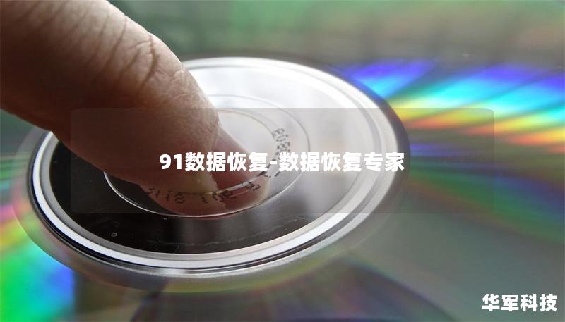 91数据恢复-数据恢复专家