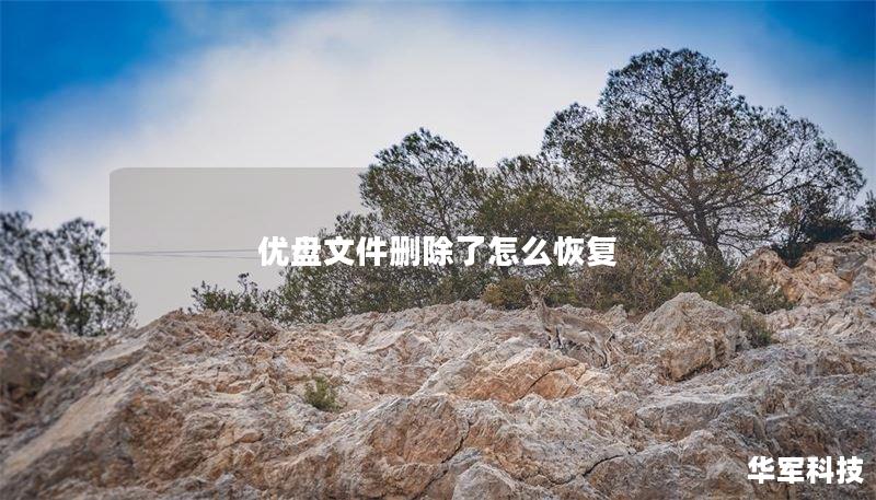 优盘文件删除了怎么恢复 优盘文件删除了怎么恢复