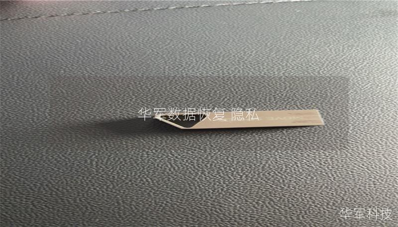 技王数据恢复专注于数据丢失后的恢复解决方案，保护您的隐私与数据安全，提供详细的操作方法与真实案例分析。