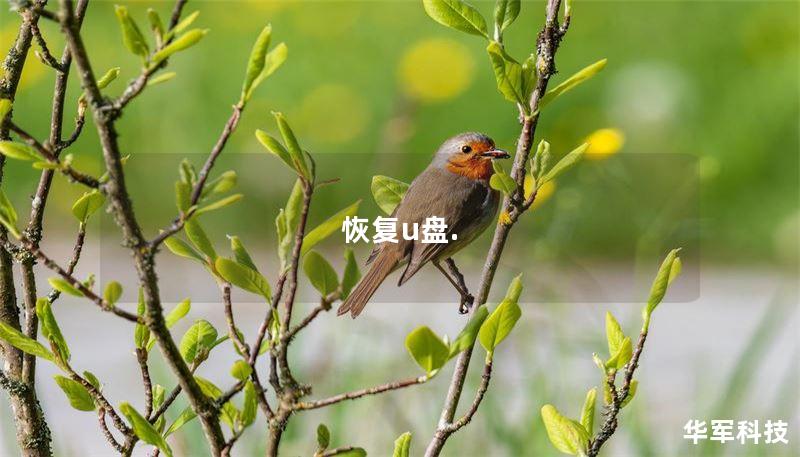 本文将详细介绍U盘数据恢复的方法及技巧，提供真实案例分析，帮助用户有效恢复丢失的数据。