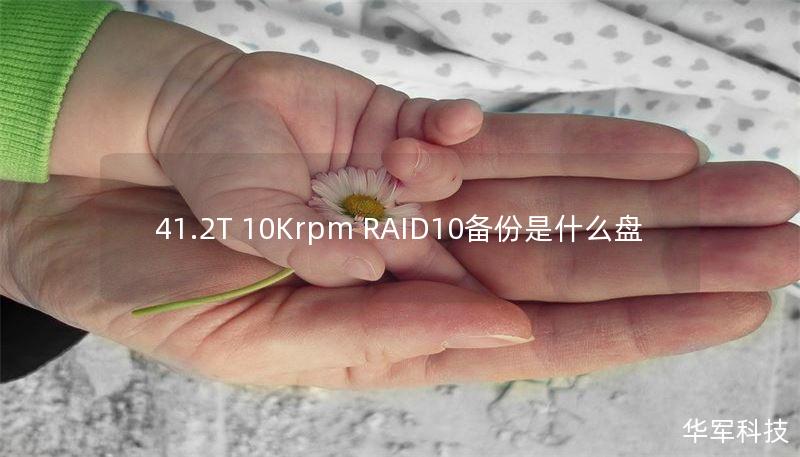 41.2T 10Krpm RAID10备份是什么盘