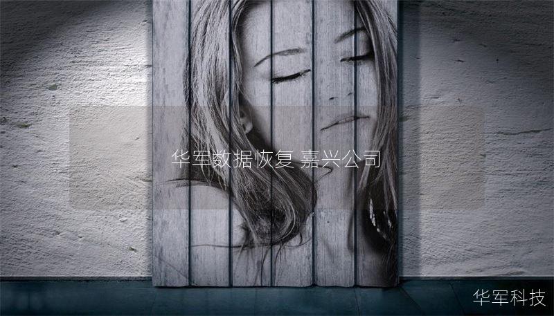 技王数据恢复提供专业的嘉兴数据恢复服务，帮助您快速恢复丢失的数据，解决数据丢失的烦恼。