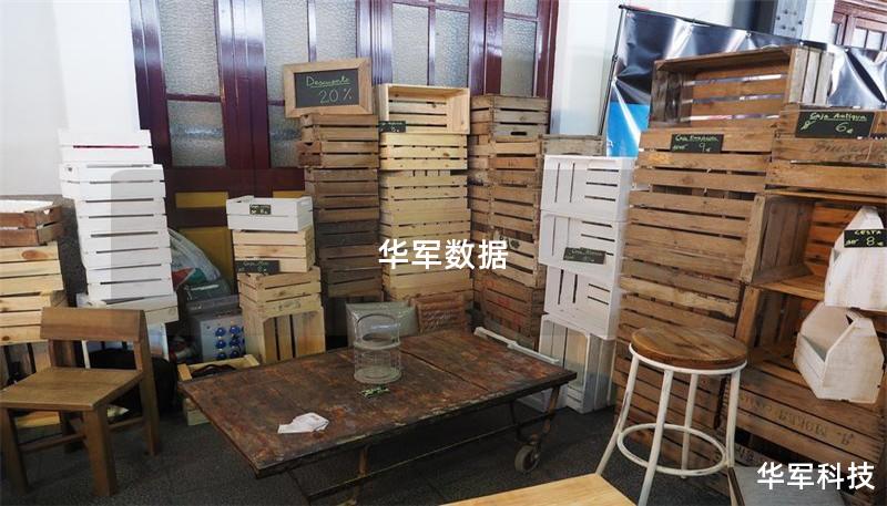 本文将详细探讨技王数据恢复的各种技巧与方法，帮助用户有效恢复丢失的数据，提供真实案例和常见问题解答。