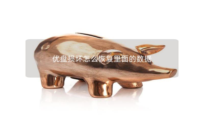 优盘损坏怎么恢复里面的数据 优盘损坏怎么恢复里面的数据