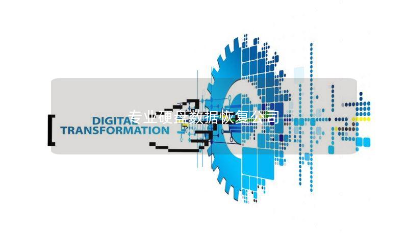 专业硬盘数据恢复公司 专业硬盘数据恢复公司
