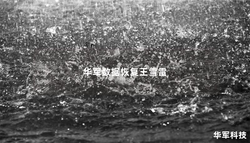 技王数据恢复王雪雷 技王数据恢复王雪雷