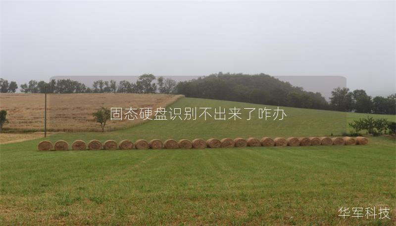 固态硬盘识别不出来了咋办