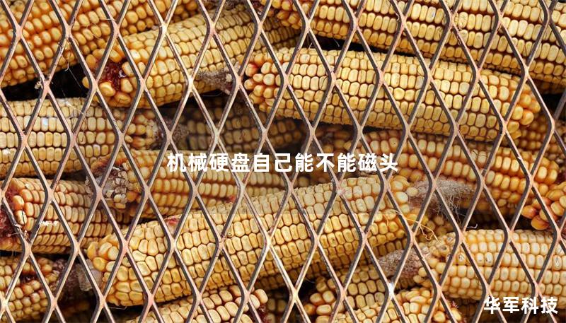 机械硬盘自己能不能磁头