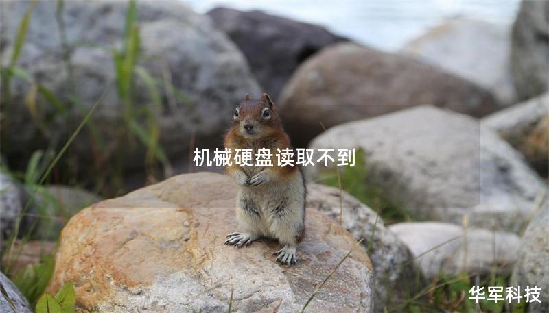 机械硬盘读取不到