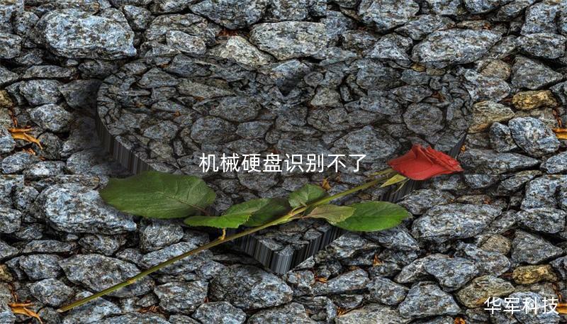 机械硬盘识别不了