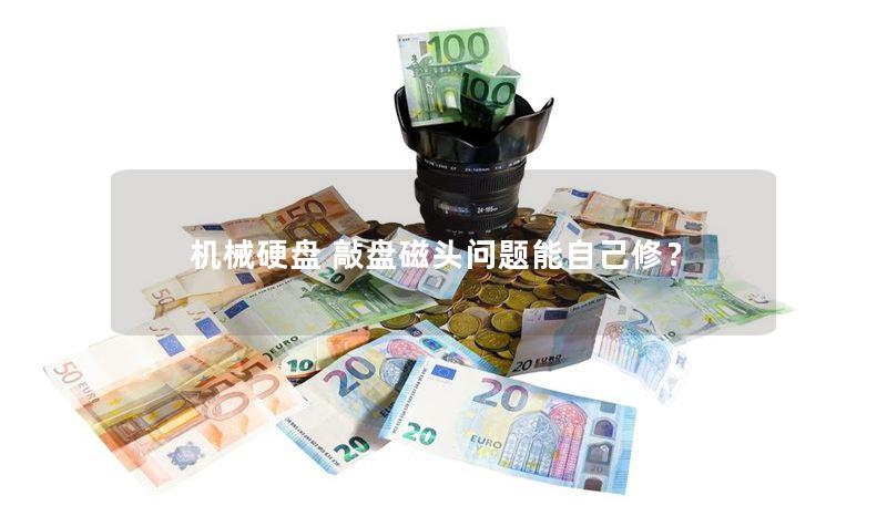 机械硬盘 敲盘磁头问题能自己修？