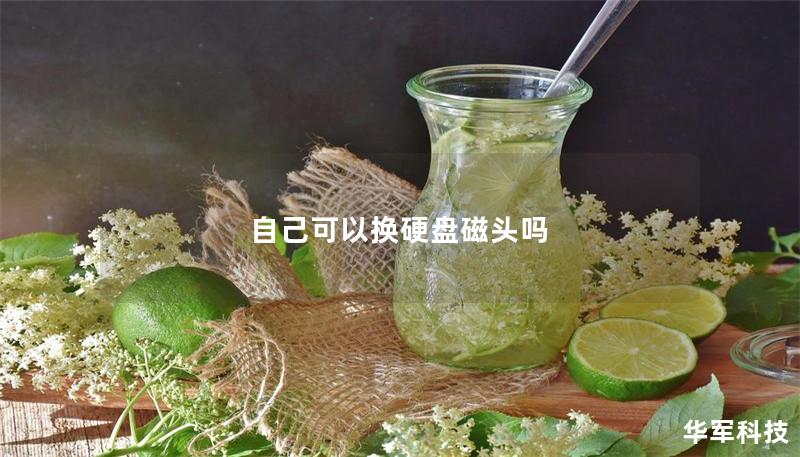 自己可以换硬盘磁头吗