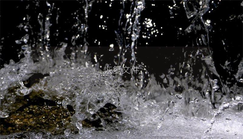 恢复文件 恢复文件