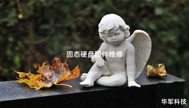 固态硬盘固件维修