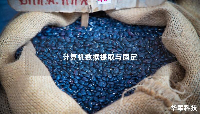 计算机数据提取与固定 计算机数据提取与固定