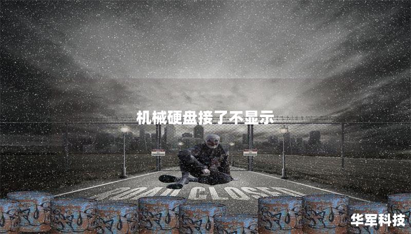 机械硬盘接了不显示 机械硬盘接了不显示