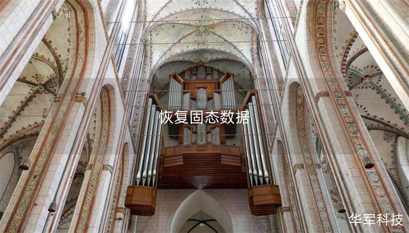 了解固态数据恢复的最佳方案，解决数据丢失问题，提供详细的操作方法和真实案例分析。