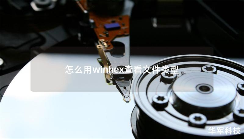 怎么用winhex查看文件类型 怎么用winhex查看文件类型