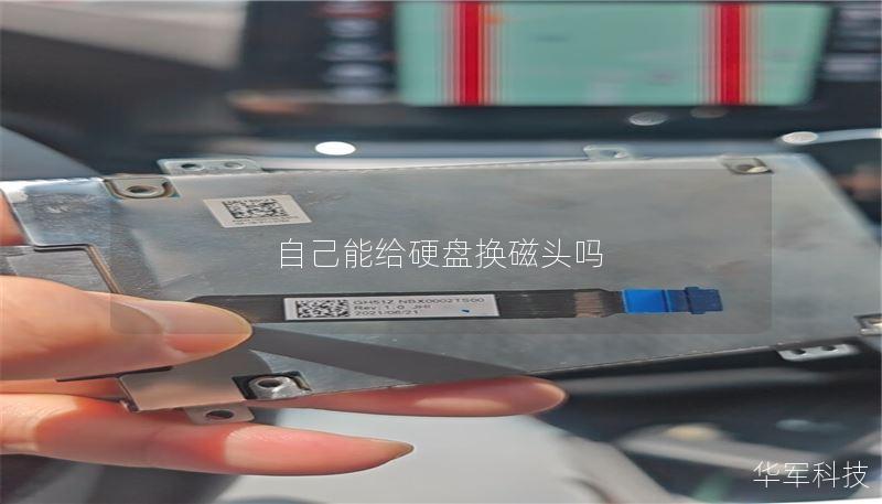 自己能给硬盘换磁头吗