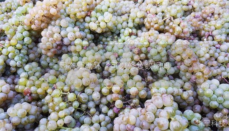 固态硬盘坏了可以修复数据吗