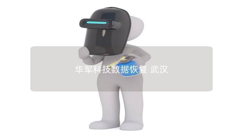 技王数据恢复 武汉