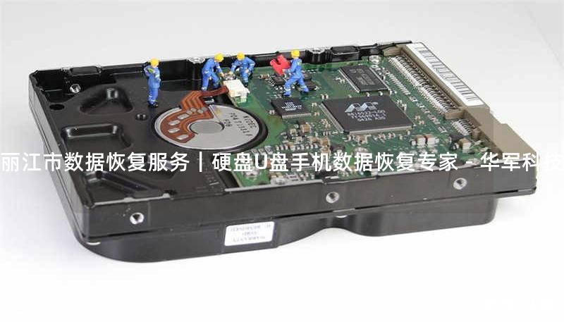 丽江市专业数据恢复服务，技王提供硬盘/U盘/手机数据恢复解决方案，覆盖逻辑损坏、物理故障等场景，成功恢复率超95%，全国10城直营中心支持，免费咨询热线：400-675-9388