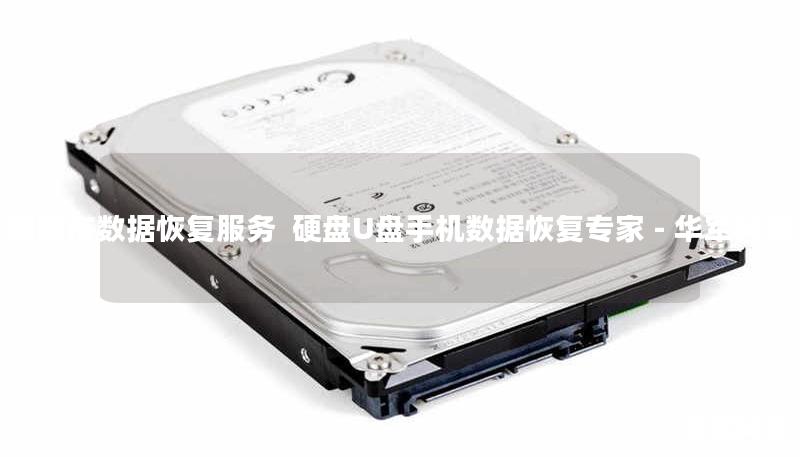 衡阳市数据恢复服务  硬盘U盘手机数据恢复专家 - 技王
