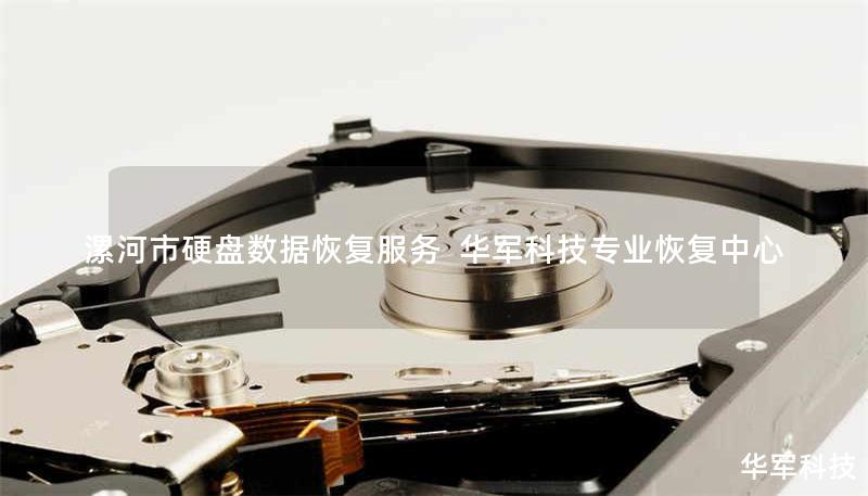 漯河市专业硬盘数据恢复服务，技王提供物理损坏修复、误删恢复、RAID重组等解决方案，全国直营中心覆盖10+城市，免费检测热线400-675-9388。