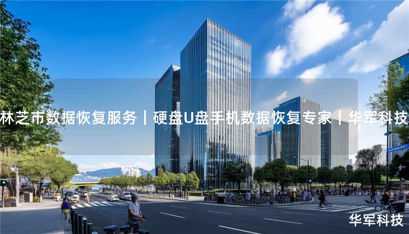 林芝市数据恢复服务｜硬盘U盘手机数据恢复专家｜技王