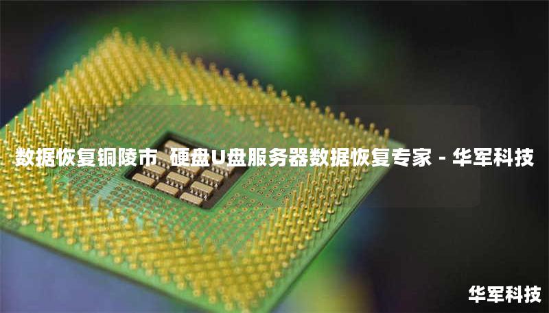 铜陵市专业数据恢复服务：技王提供硬盘/U盘/服务器数据恢复，覆盖逻辑损坏、物理损坏等场景，全国9城直营中心支持，成功恢复率超95%，紧急情况可加急处理。