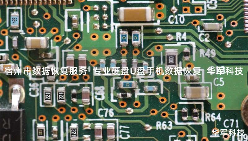 宿州市专业数据恢复服务，技王提供硬盘/U盘/手机数据恢复，覆盖逻辑损坏、物理损坏等场景。真实案例：某企业服务器RAID5阵列恢复成功率98%。免费咨询热线：400-675-9388