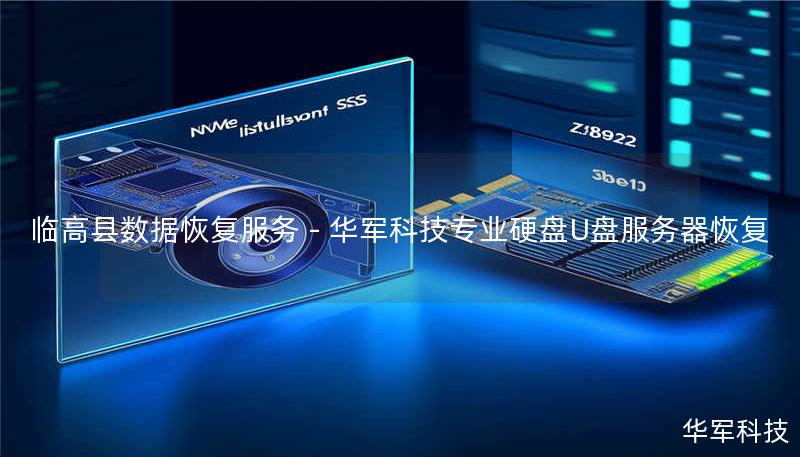 临高县数据恢复服务 - 技王专业硬盘U盘服务器恢复