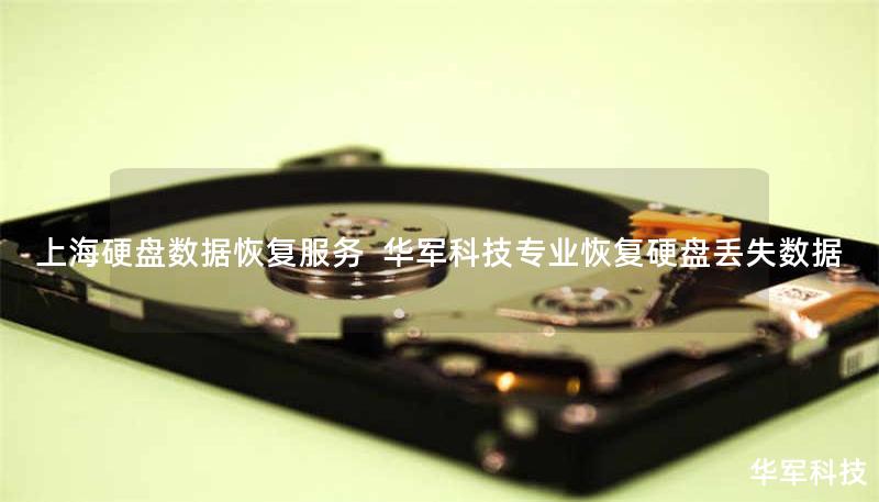 上海硬盘数据恢复服务  技王专业恢复硬盘丢失数据