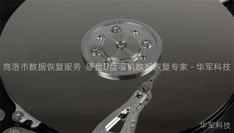 商洛市数据恢复服务  硬盘U盘手机数据恢复专家 - 技王