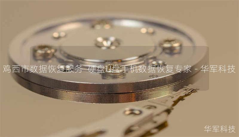 鸡西市数据恢复服务  硬盘U盘手机数据恢复专家 - 技王