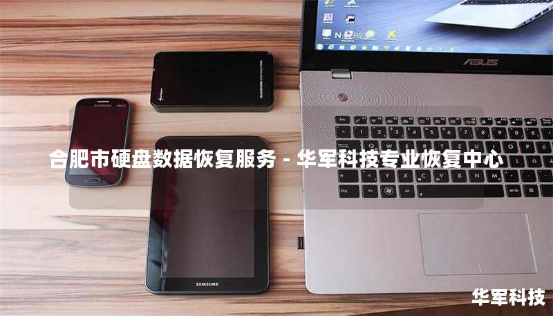 合肥市硬盘数据恢复服务 - 技王专业恢复中心