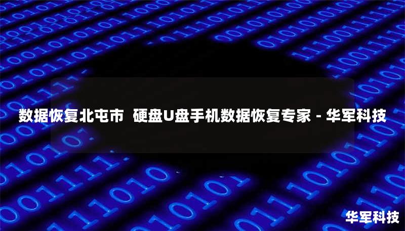 数据恢复北屯市  硬盘U盘手机数据恢复专家 - 技王