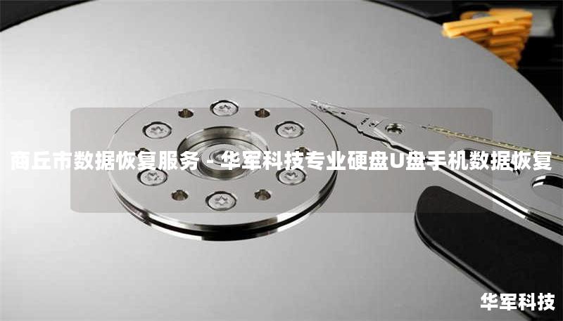 商丘市数据恢复服务 - 技王专业硬盘U盘手机数据恢复