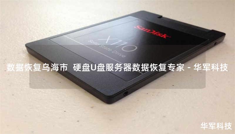 数据恢复乌海市  硬盘U盘服务器数据恢复专家 - 技王