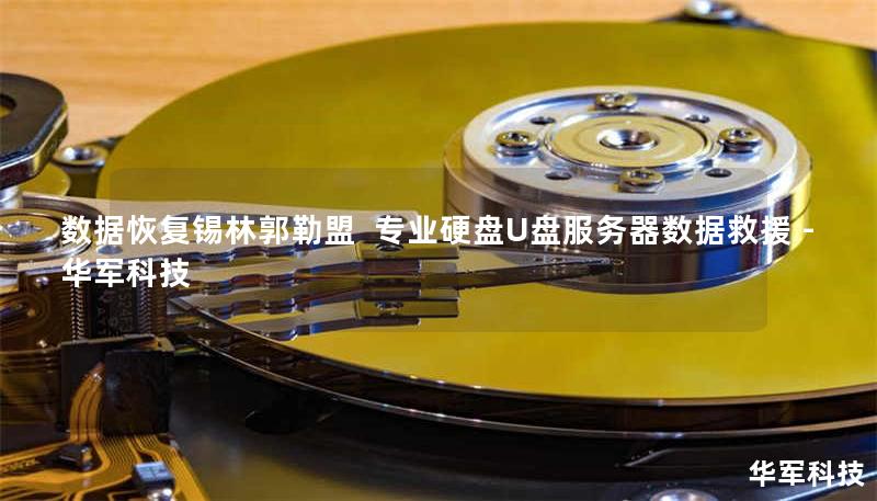 数据恢复锡林郭勒盟  专业硬盘U盘服务器数据救援 - 技王