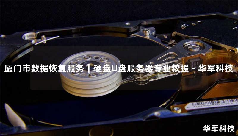 厦门市数据恢复服务｜硬盘U盘服务器专业救援 - 技王
