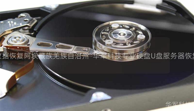 数据恢复阿坝藏族羌族自治州  技王专业硬盘U盘服务器恢复