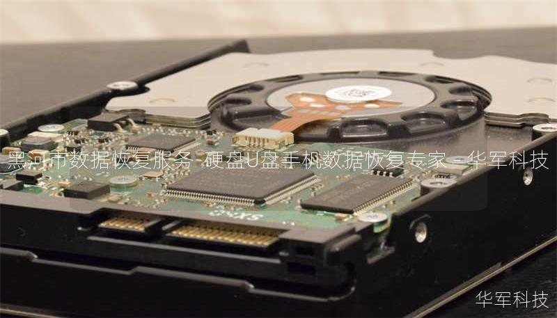 黑河市数据恢复服务  硬盘U盘手机数据恢复专家 - 技王